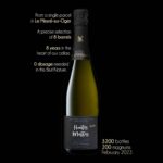 Hautes Mottes, Grand Cru, B.de Blancs, Brut Nature 2013