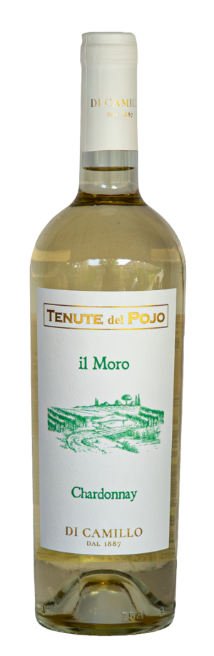 Chardonnay 2025 IL MORO Tenuta del Pojo IGP